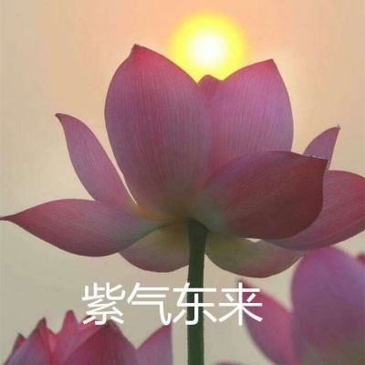 亮有一计手游下载